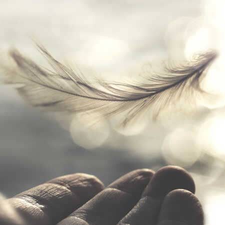 Affirmationen für den Tag Hand weisse Feder
