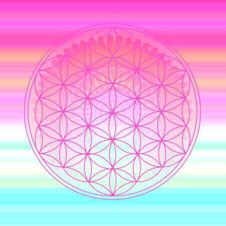 spirituelle Lebensaufgabe Blume des Lebens rosa